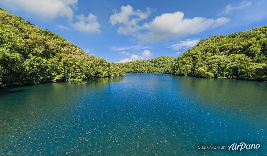 Jellyfish Lake, Palau, © AirPano 