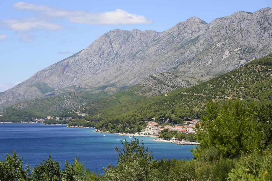 Coast near Drvenik