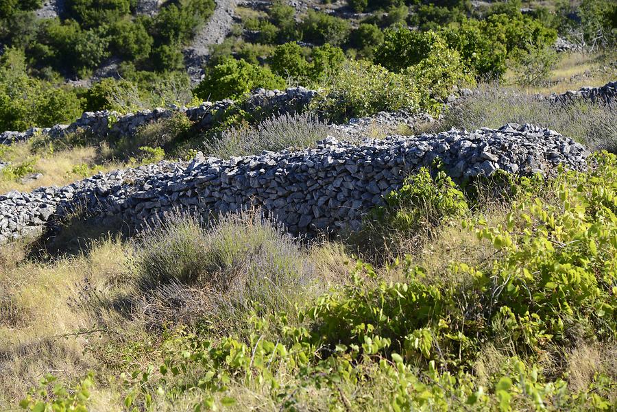 Hvar - 'Chora'-Fields