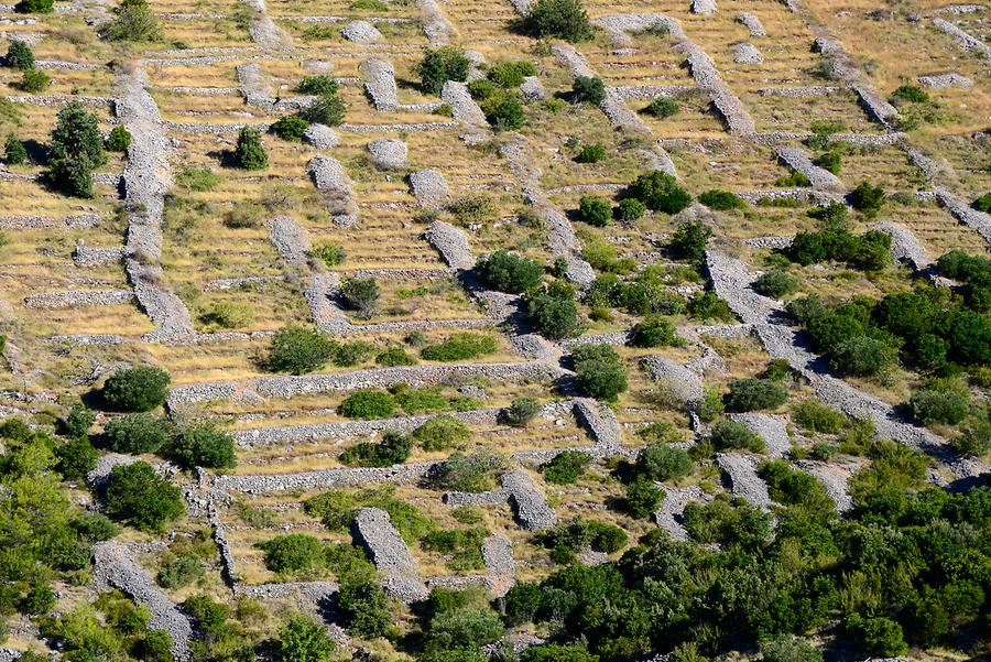 Hvar - 'Chora'-Fields