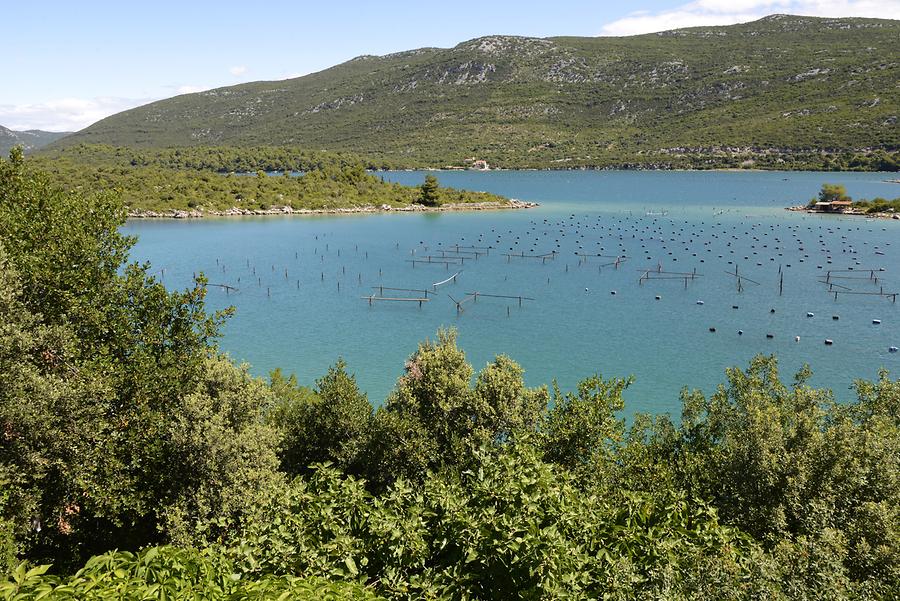 The Peninsula Pelješac