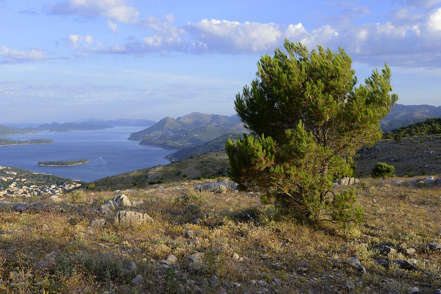 Bay of Dubrovnik