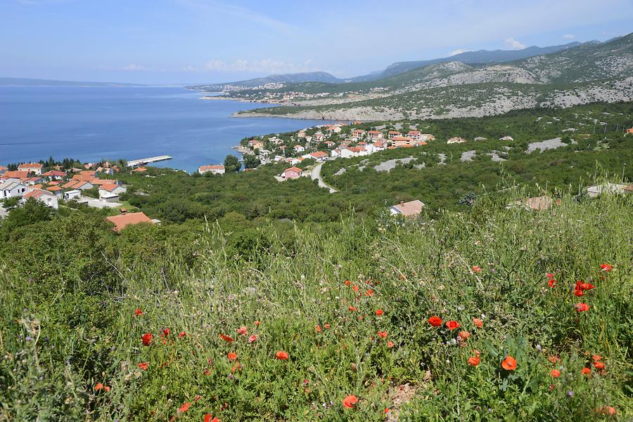 Coastal Scenery