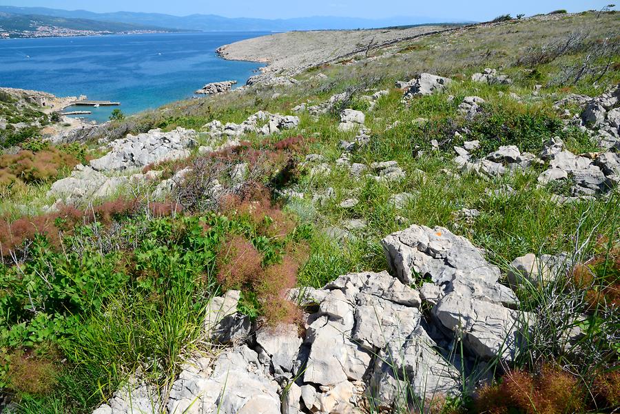 Krk - Landscape near Silo Krk