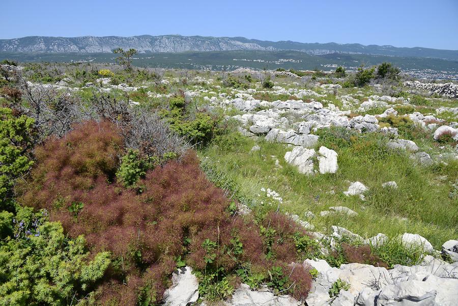 Krk - Landscape near Silo Krk