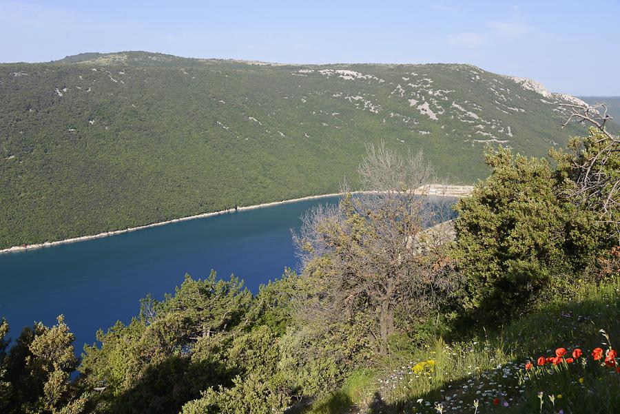 Landscape near Plomin