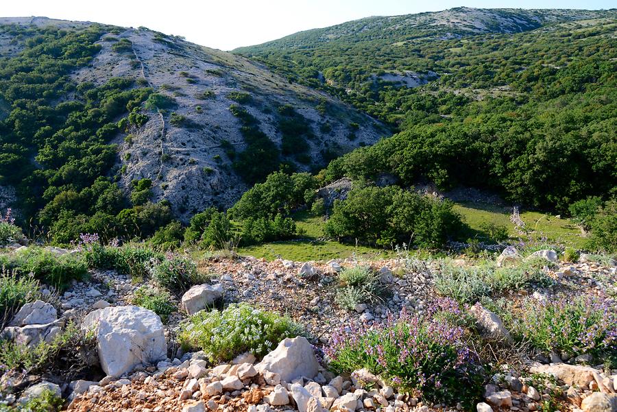 Landscape near Stara Baška