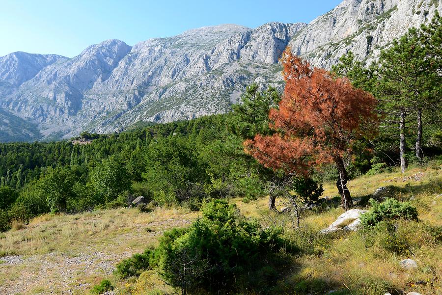 Biokovo Nature Park