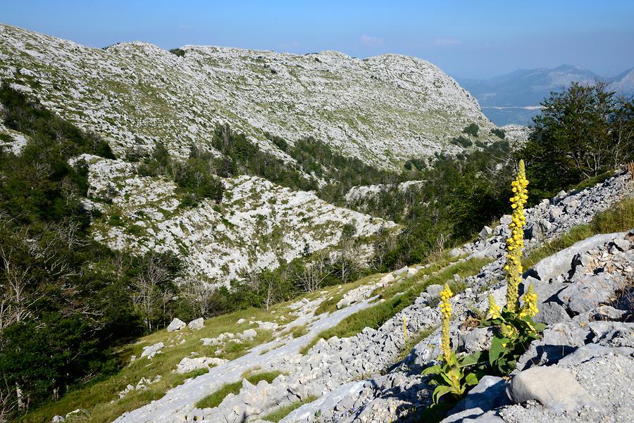 Biokovo Nature Park