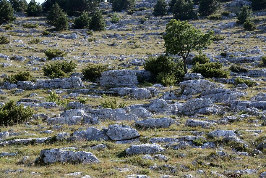 Biokovo Nature Park