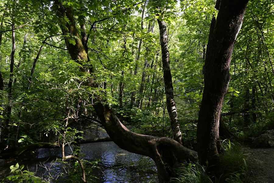 Plitvice Lakes