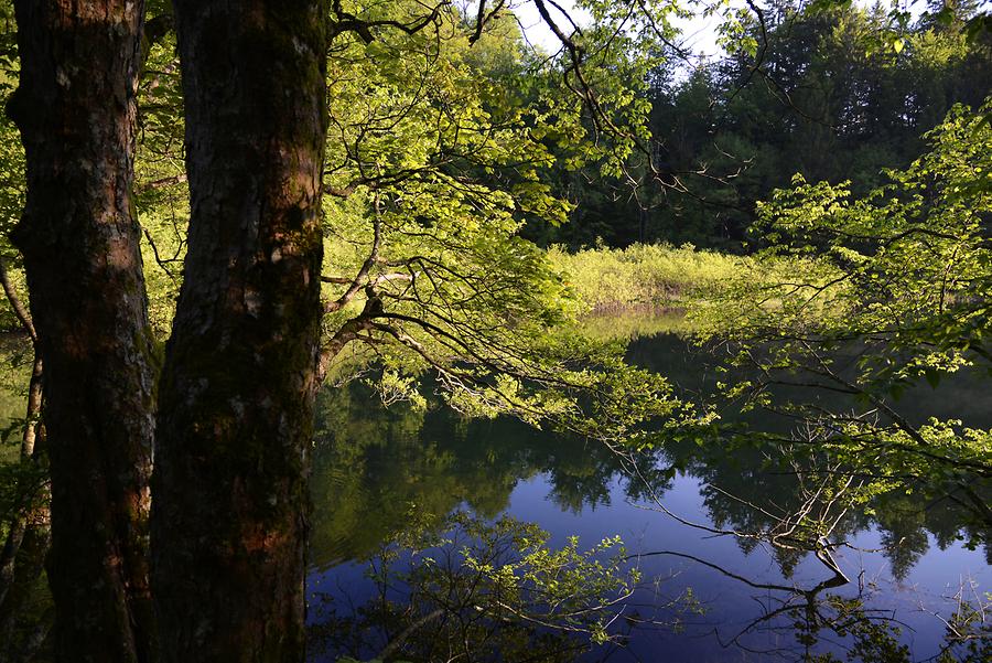 Upper Lakes