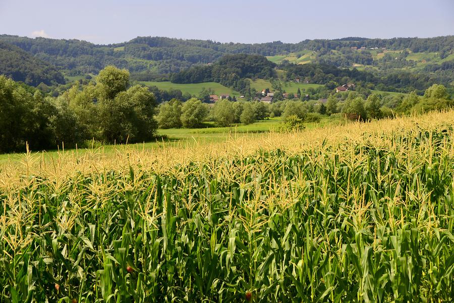 Landscape near Veliki Tabor Castle