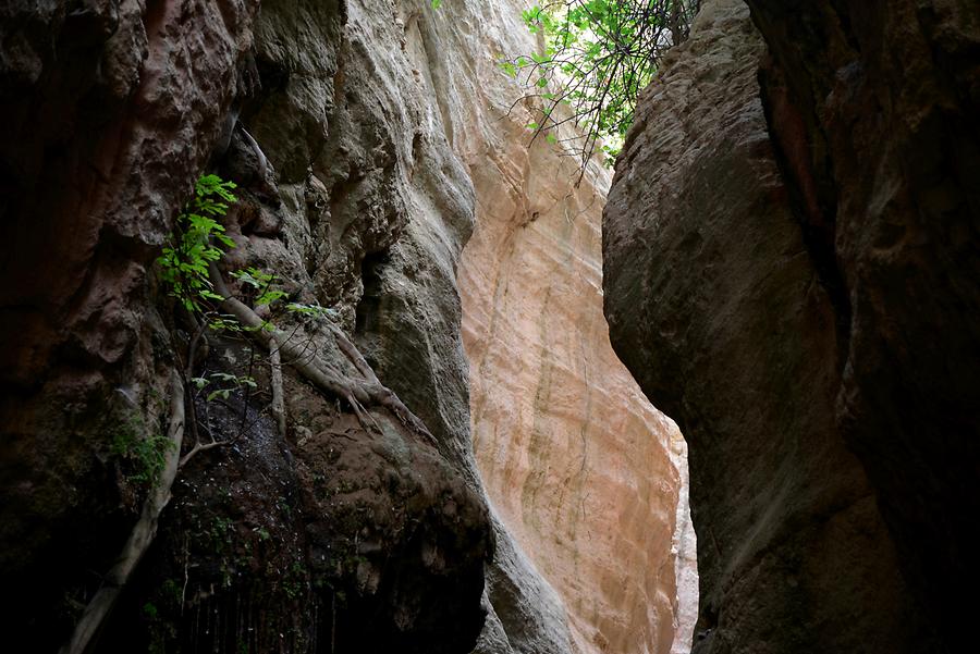 Avakas Gorge