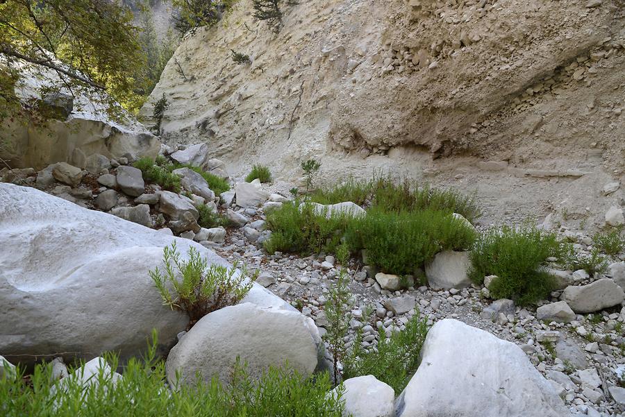 Avakas Gorge