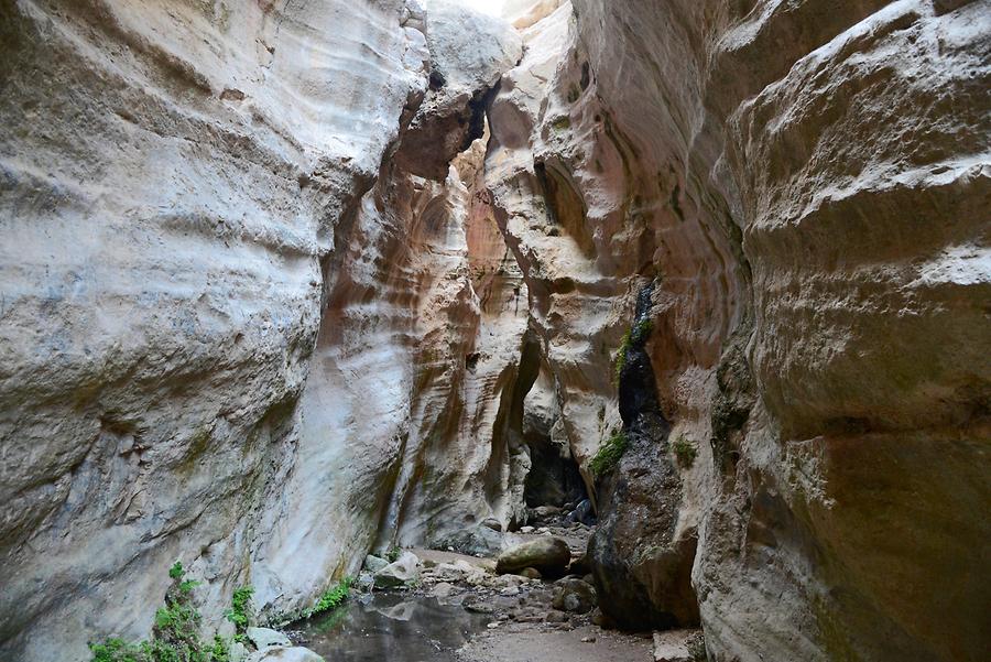 Avakas Gorge