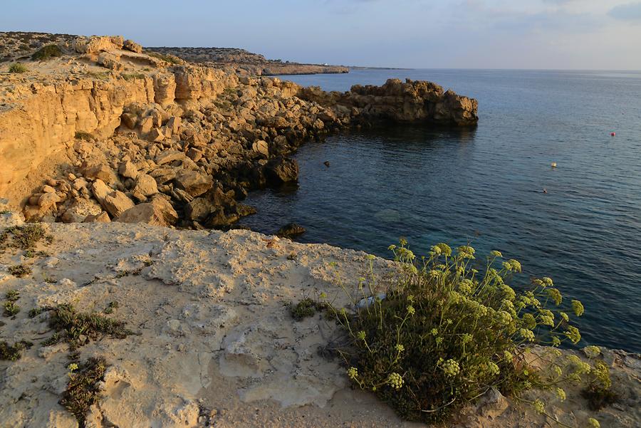 Cape Greco