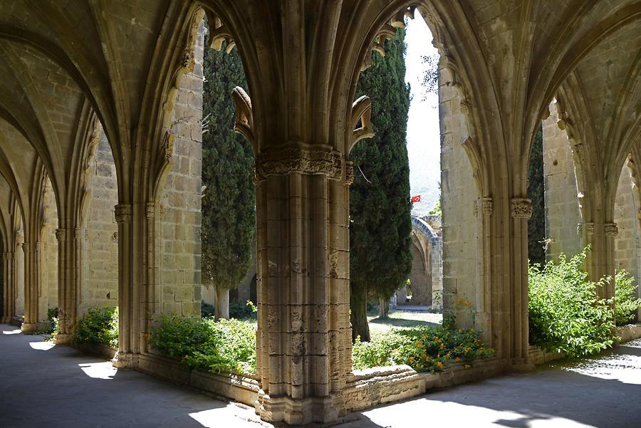 Bellapais Abbey - Cloister