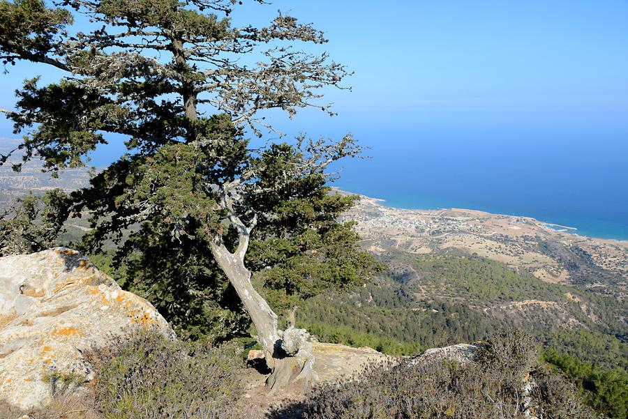 Coast near Kantara