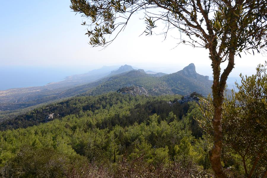 Coast near Kantara