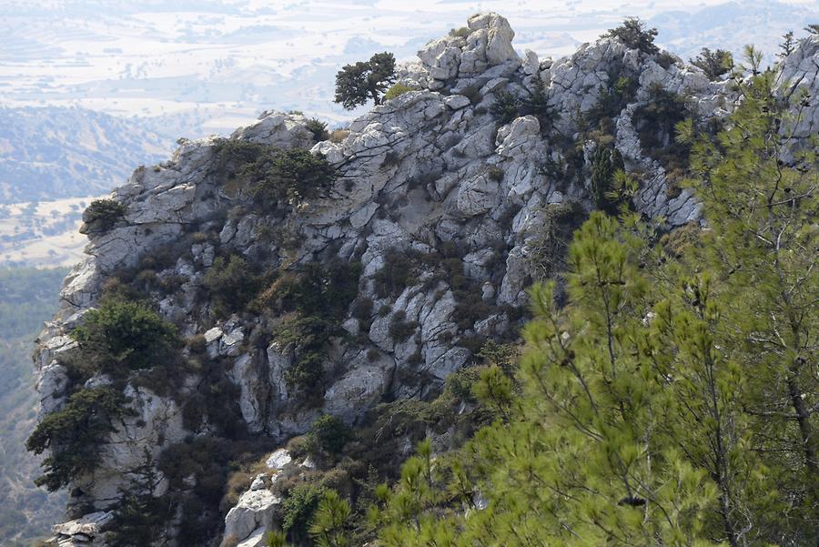 Landscape near Kantara