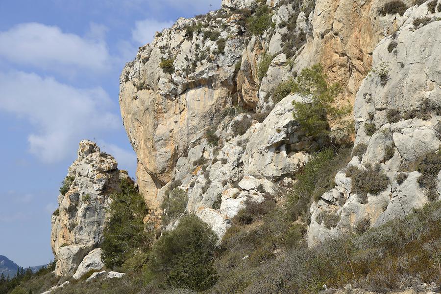 Landscape near Kantara