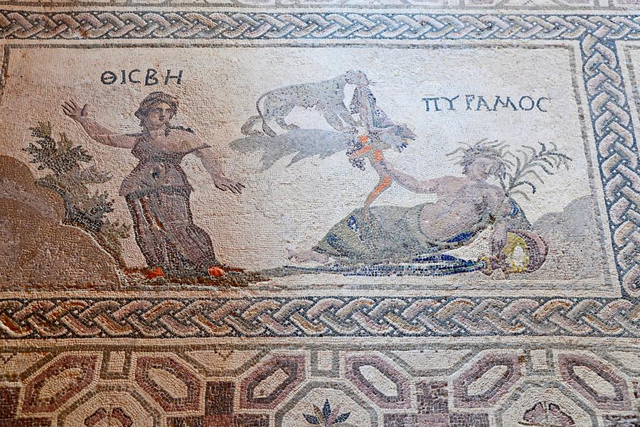 House of Dionysos - Mosaics