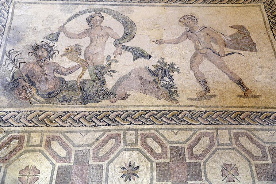 House of Dionysos - Mosaics