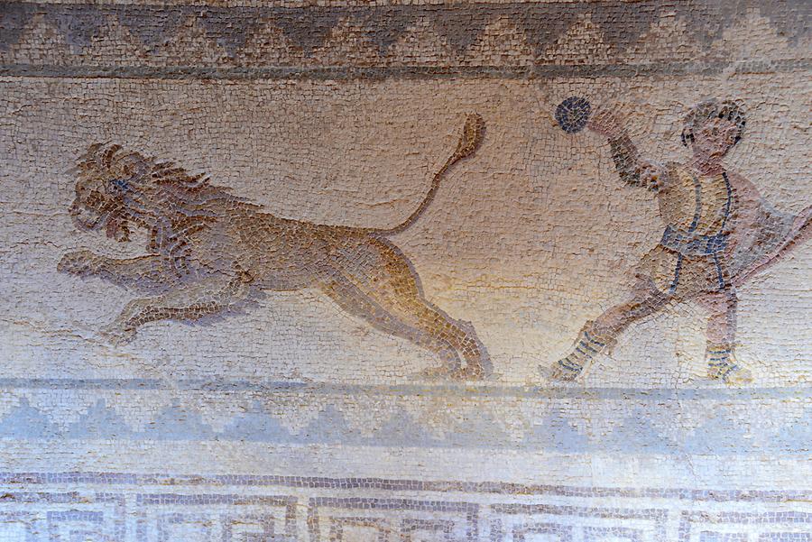 House of Dionysos - Mosaics