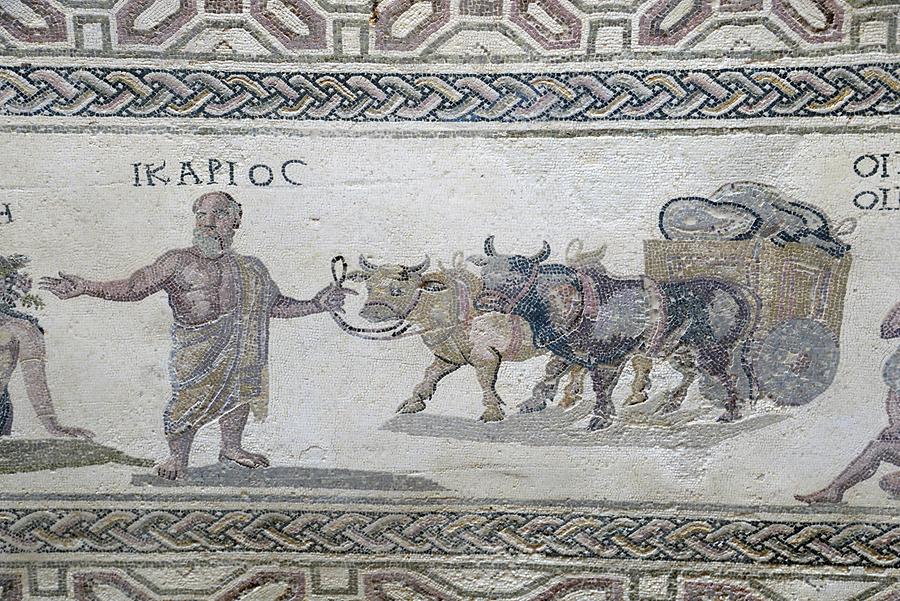 House of Dionysos - Mosaics