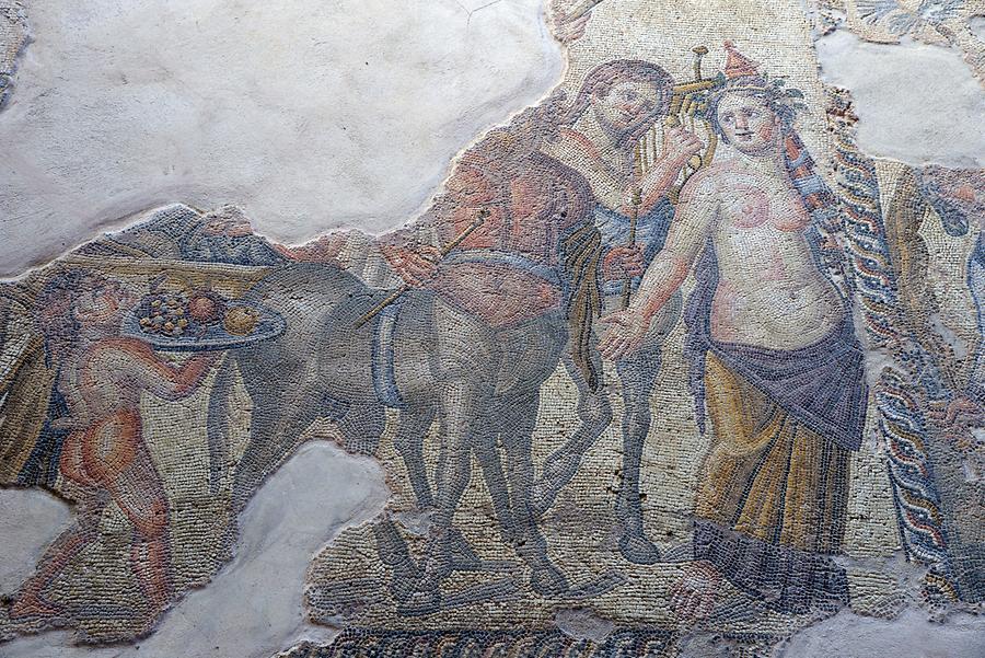 House of Dionysos - Mosaics