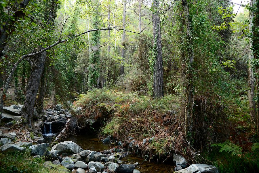 Kaledonia Trail