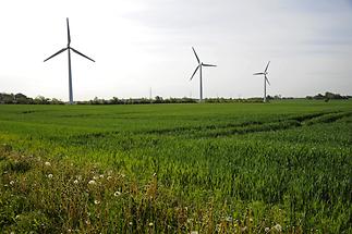 Landscape near Jelling (3)