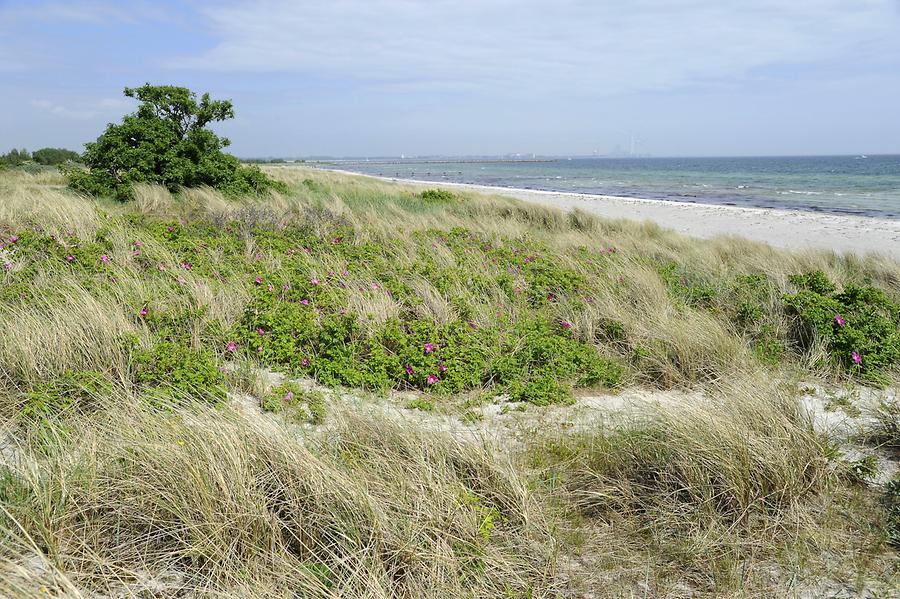 Beach near Arken