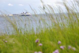 Øresund - Helsingør