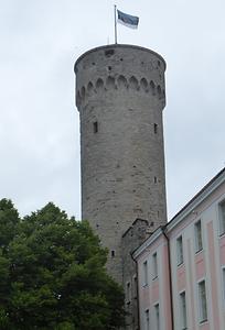 Tallin