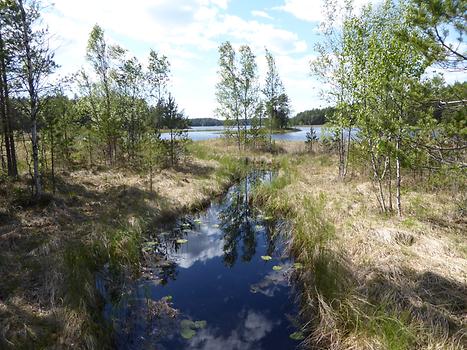 Teijo National Park