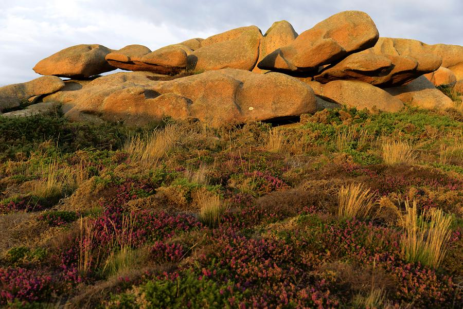 Coast of Granit Rose