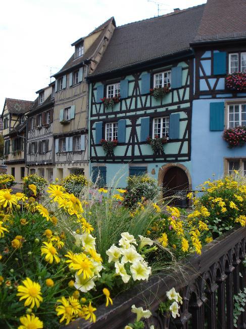 Houses in Colmar