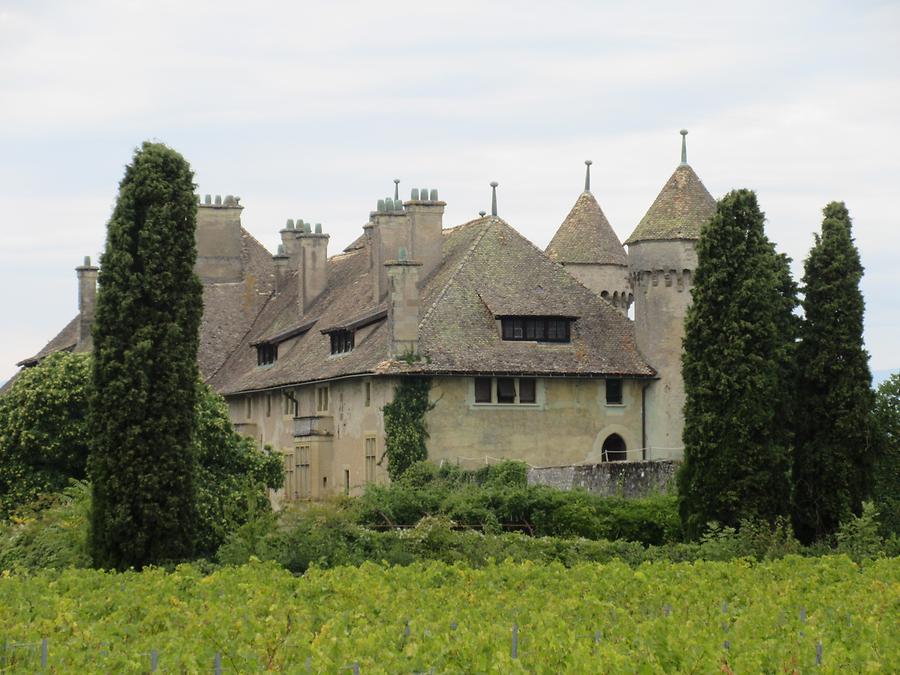 Thonon-les-Bains - Chateau de Ripaille