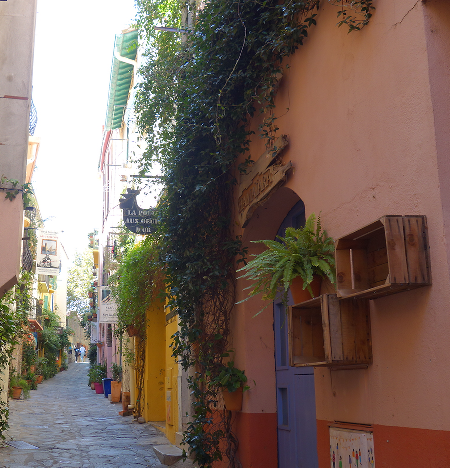 Collioure, Photo: U. Maurer