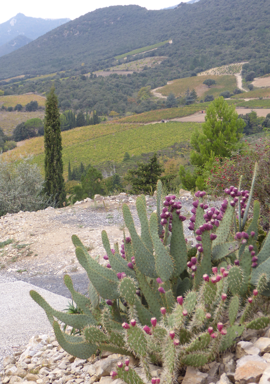 Near Cucnugnan, Photo: H. Mauer, 2015