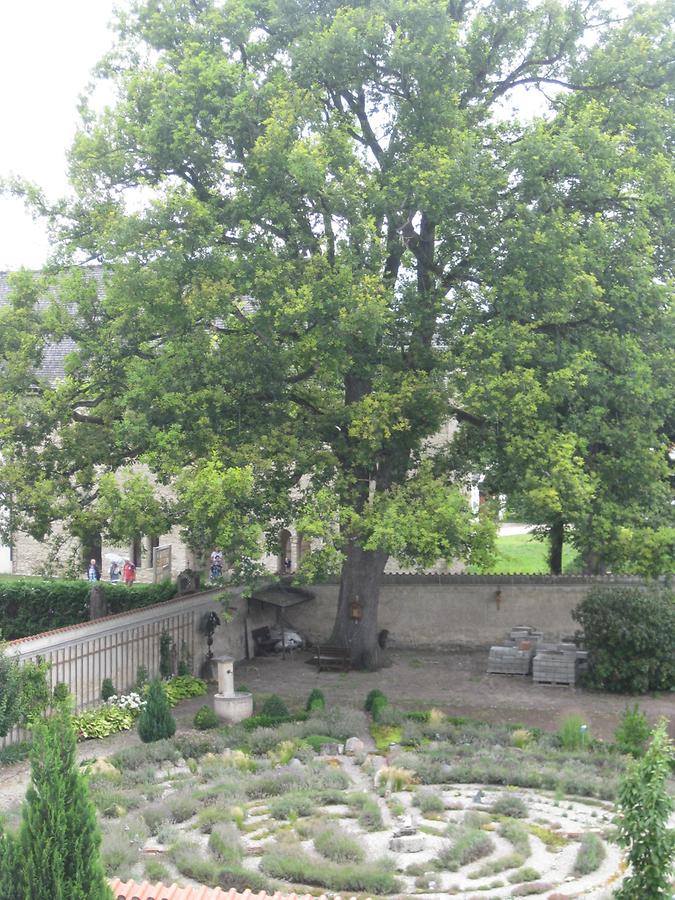 Frauenchiemsee - Abteil Frauenwörth - Klausurgarten - Labyrinth