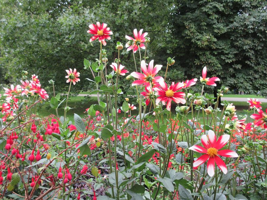 Gardens of the World - Oriental Garden