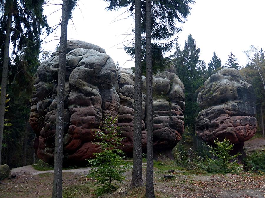 Oybin - 'Chalice Rocks'; Sandstone, used for Climbing