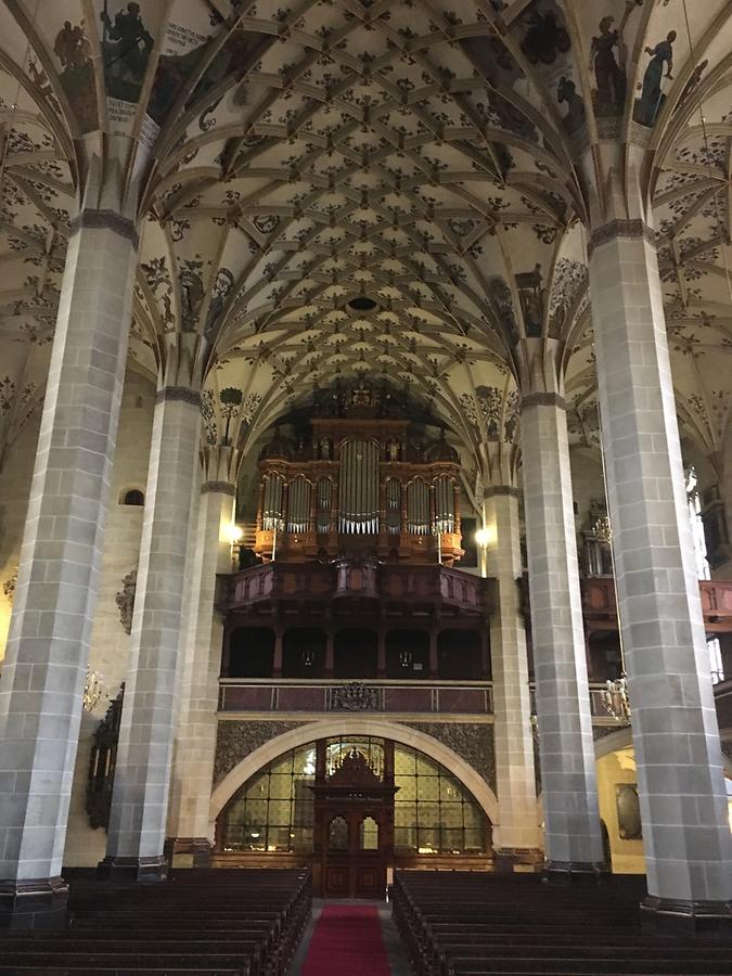 Pirna - Evangelical Parish Church of St. Mary, Organ