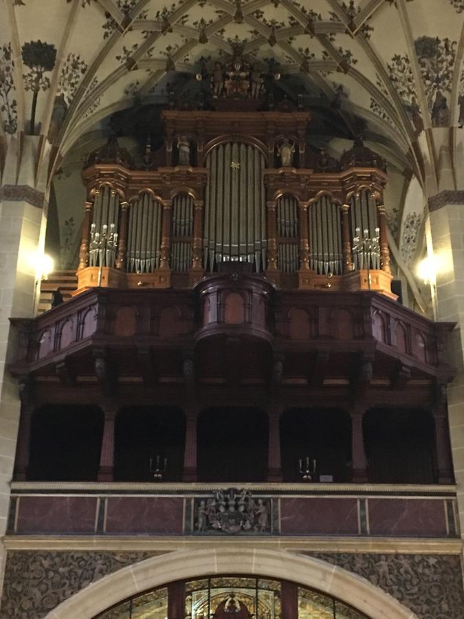 Pirna - Evangelical Parish Church of St. Mary, Organ