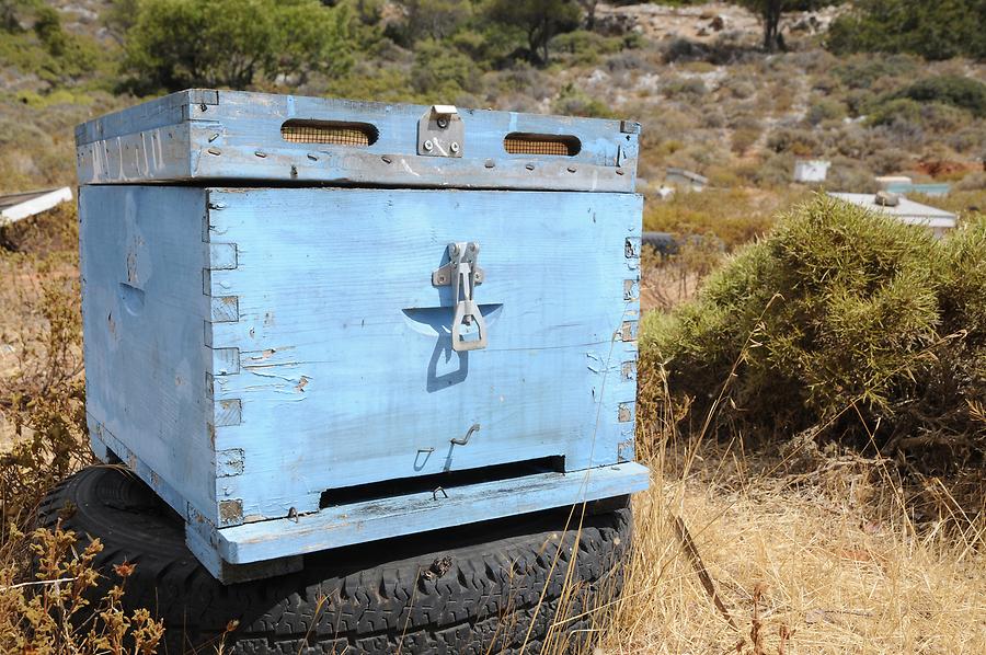 Akrotiri Peninsula - Bee-Keeping; Detail