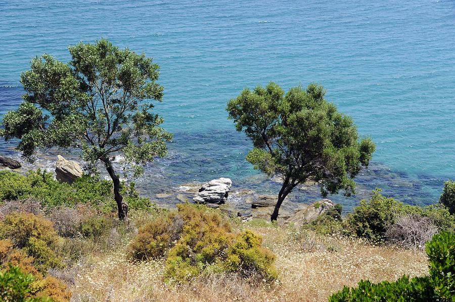 Euboea Coastline