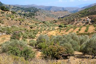 Lasithi Plateau (2)